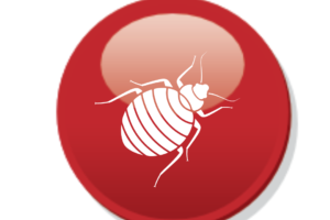 bpc pest control