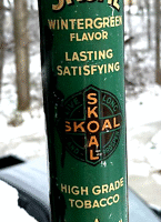 skoal