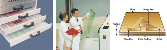 Flexo Printing Machine