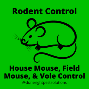 rodent control and wildlife removal